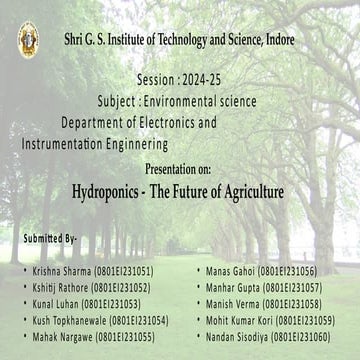 Hydroponics: Revolutionizing Sustainable Agriculture.