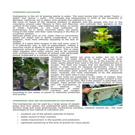 Hydroponic Cultivation