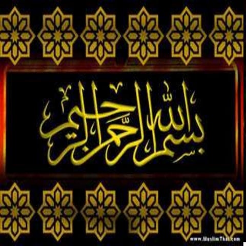 Hydroponics  A Presentation By Mr Allah Dad khan Former Director General Agri...