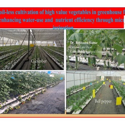 Hydroponics, Soil-less Cultivation