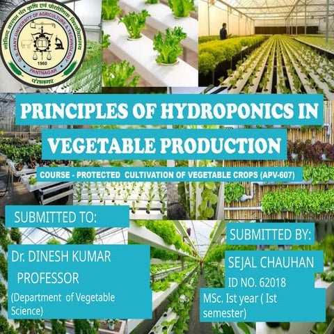 principles of hydroponics in vegetable production  by sejal