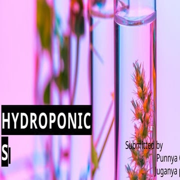 HYDROPONICS  History,application and uses ,