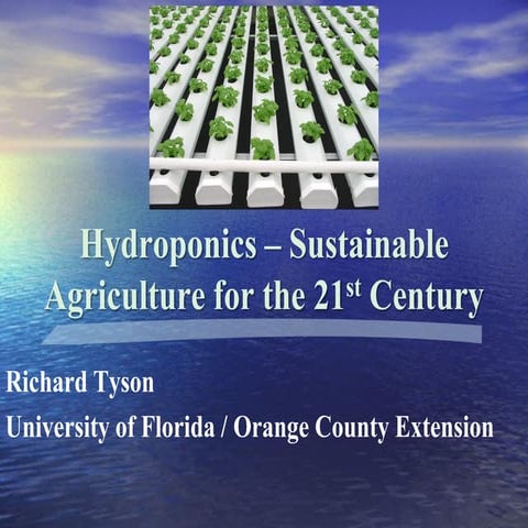 Hydroponics for MS student And graduate student