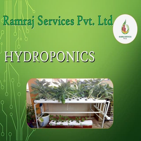 Hydroponics system 