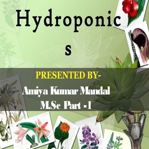 HYDROPONICS