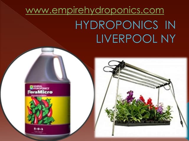 Hydroponics  in liverpool ny