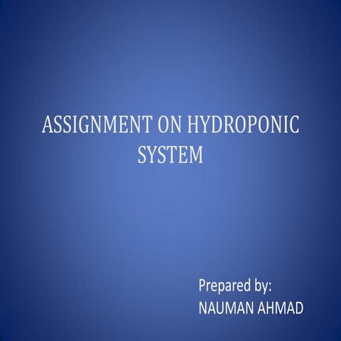 Hydroponic  sysetem