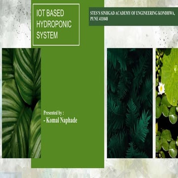 Hydroponic System.pptx