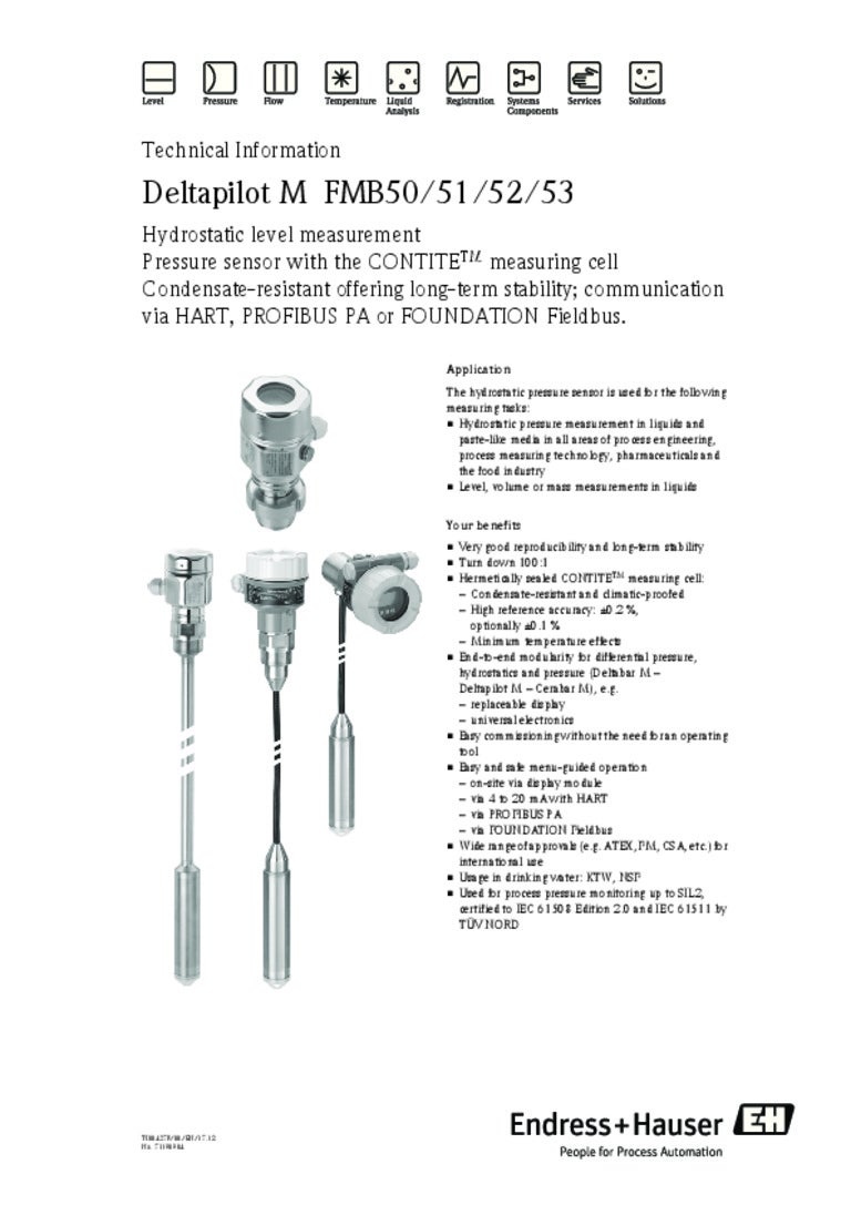 Hydrostatic Level Measurement Deltapilot M Fmb50 51 52 53