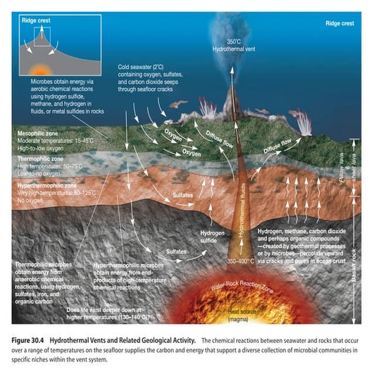 Hydrothermal vents | PPT