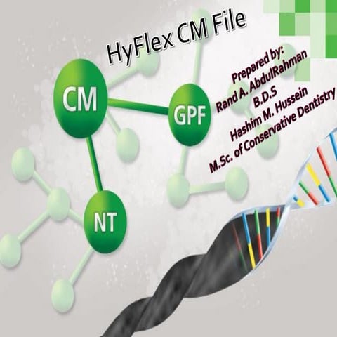 HyFlex CM File