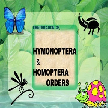 HYMONOPTERA .pptx