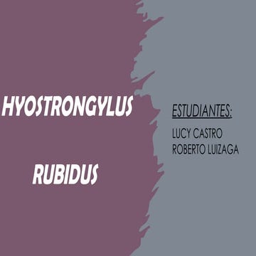 Hyostrongylus rubidus parásitos en animales | PPTX