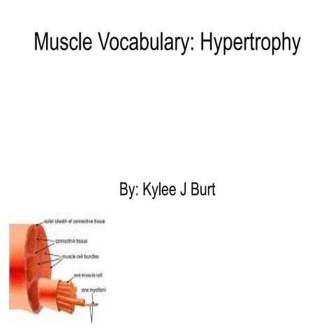 Muscle Hypertrophy