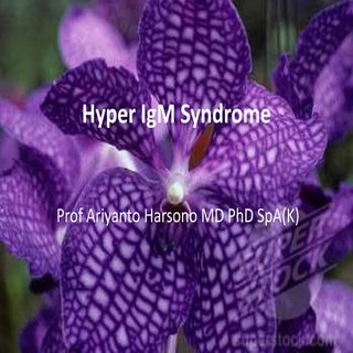 Hyper IgM Syndrome