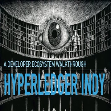 Hyperledger Indy Platform - Privacy, Security and Power for Digital Identity ...