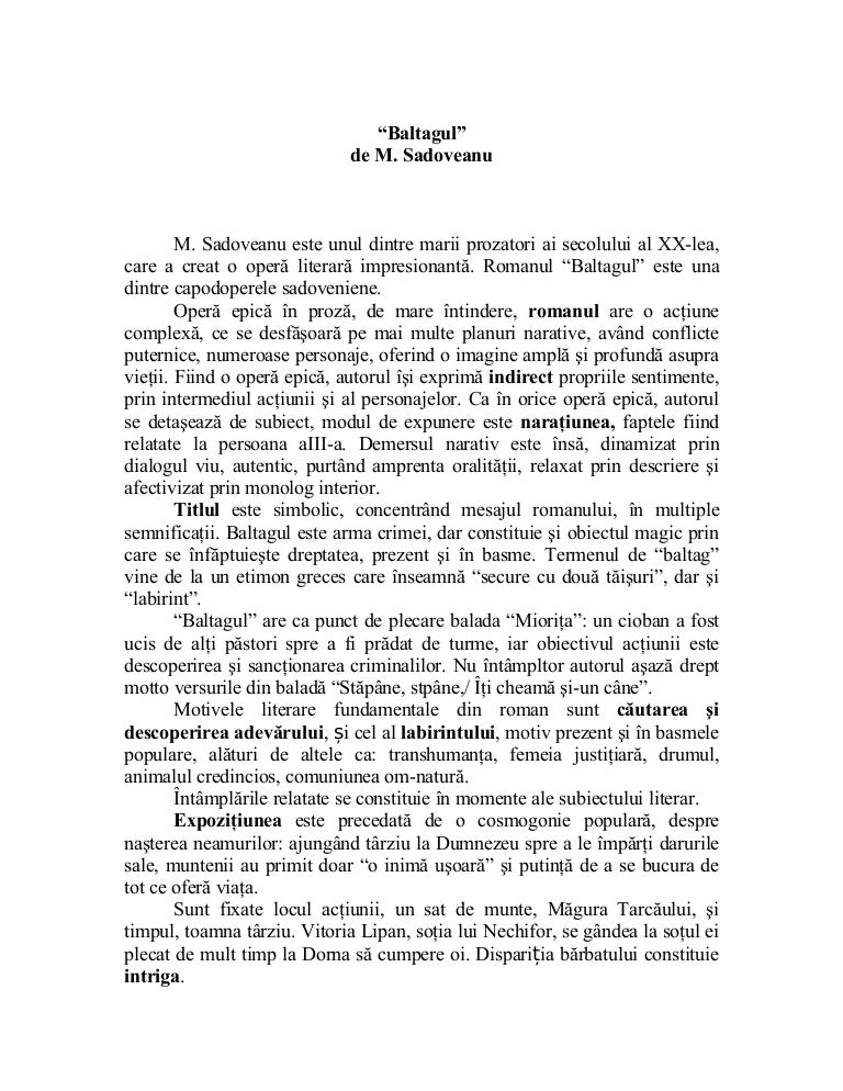 Baltagul Rezumat Pe Momentele Subiectului