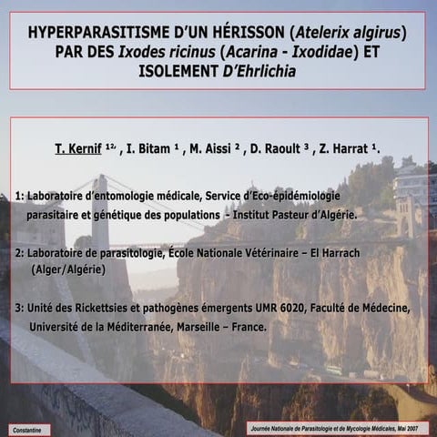 hyperparasitisme d'un herisson-Kernif.ppt