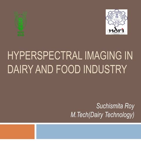 Hyperspectral imaging in dairy and food industry