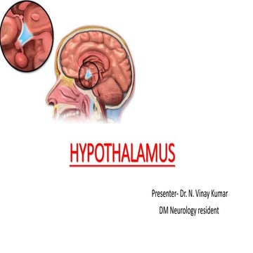 HYPOTHALAMUS.pptx