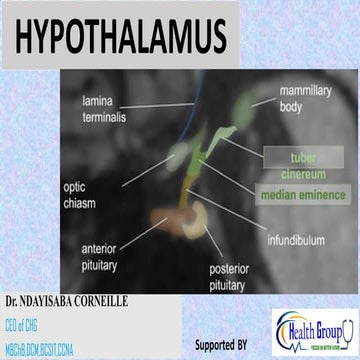 ANATOMY and PHYSIOLOGY _OF _HYPOTHALAMUS
