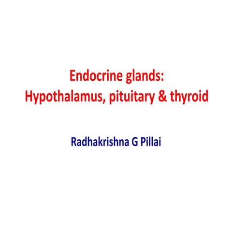 Hypothalamus pituitary-thyroid