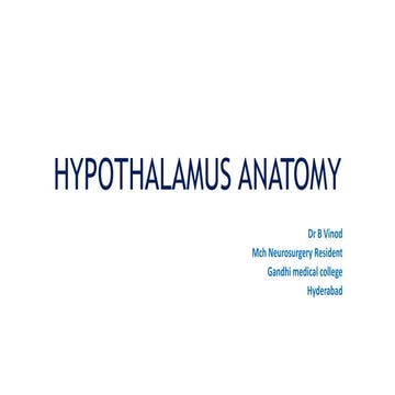 HYPOTHALAMUS ANATOMY.pptx