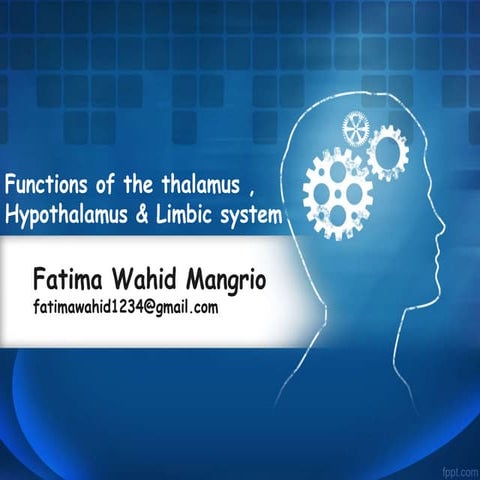 Hypothalaums &  limbic system
