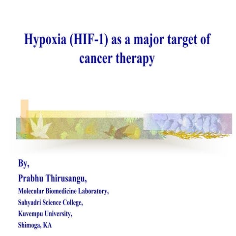 Hypoxia (HIF)  as a major target of cancer therapy