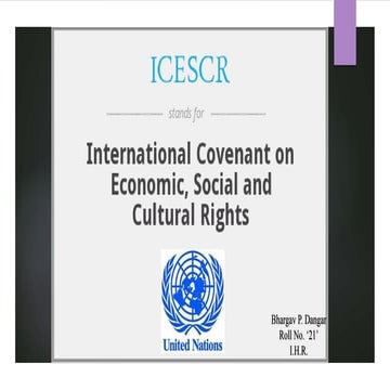 International Covenant on Economics, Social & Cultural Rights (ICESCR)