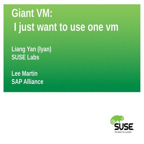 i-just-want-to-use-one-giant-vm.pdf