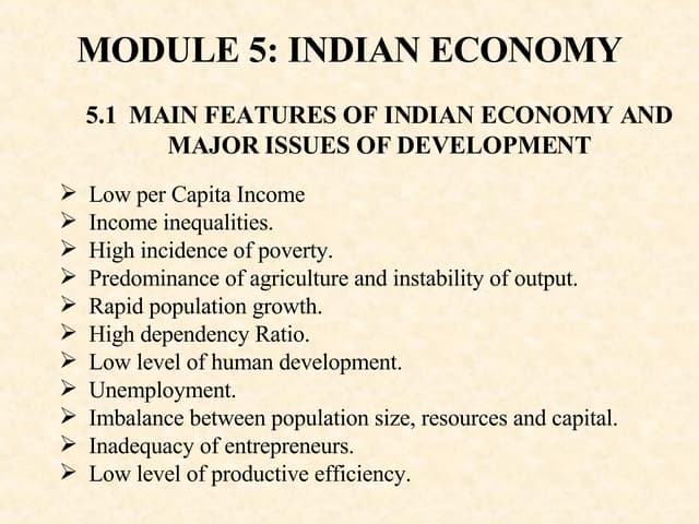 I N D I A N  E C O N O M Y