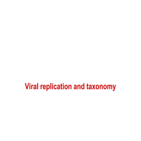 I-viral replication presentation 2025.ppt