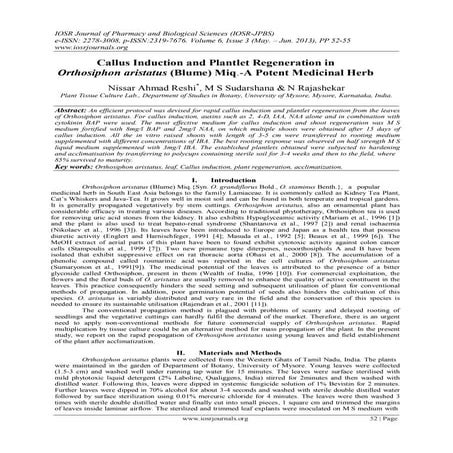 Callus Induction and Plantlet Regeneration in Orthosiphon aristatus (Blume) M...