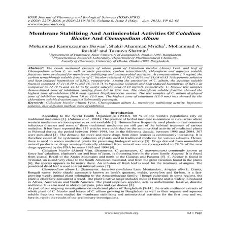 Membrane Stabilizing And Antimicrobial Activities Of Caladium Bicolor And Che...