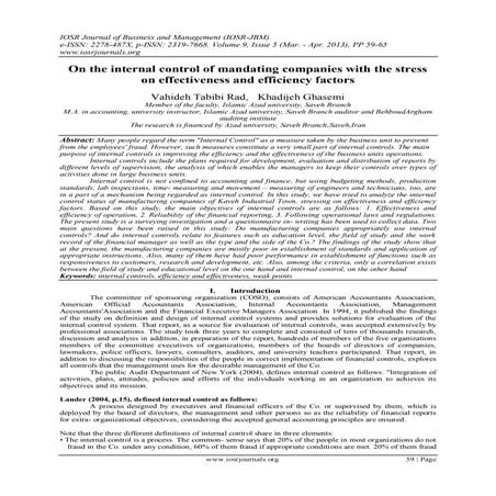 How to Develop an Internal Control Manual | PDF