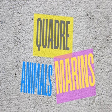 Projecte de la porta d'i5B: Els animals marins