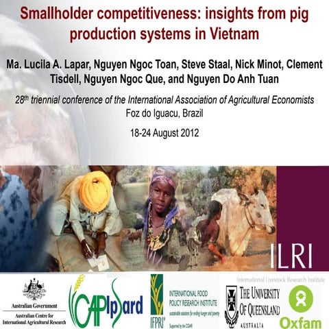 Smallholder competitiveness: Insights from pig production systems in Vietnam