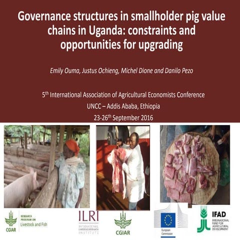 Governance structures in smallholder pig value chains in Uganda: Constraints ...