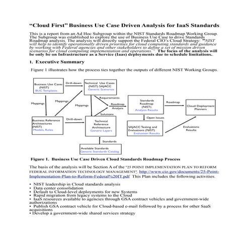 2011 IaaS standards report from Ad Hoc WG 