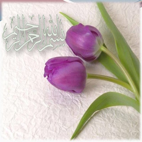 Intra  aortic  balloon  pump (IABP).ppsx