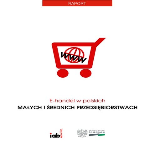 E-handel oczami sektora MŚP