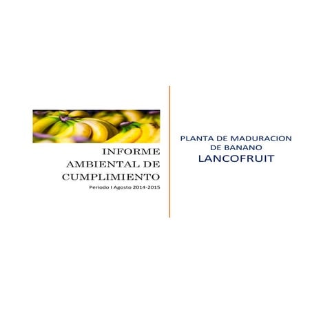LANCOFRUIT Informe ambiental de cumplimiento primer periodo 2014-2015