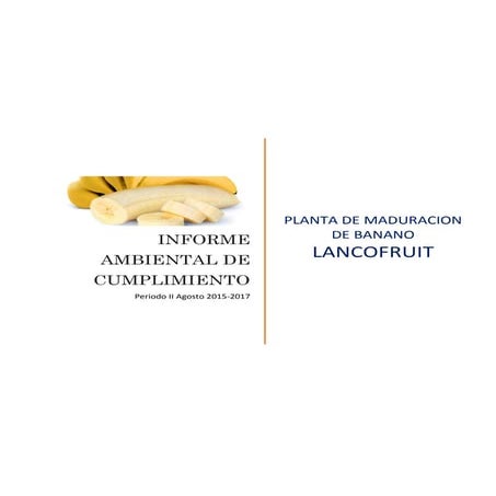 LANCOFRUIT Informe ambiental de cumplimiento Segundo periodo 2015-2017