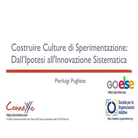 Costruire Culture di Sperimentazione - Dall'Ipotesi all'Innovazione Sistematica