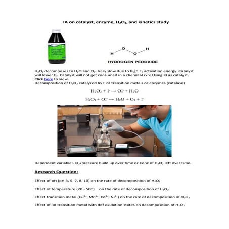 IA Design and interesting reseach questions