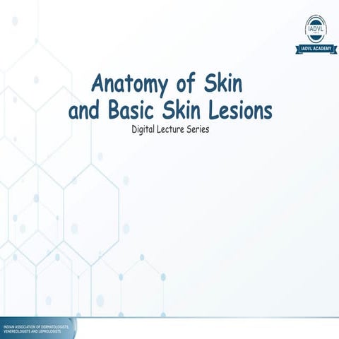 Skin histology | PPTX