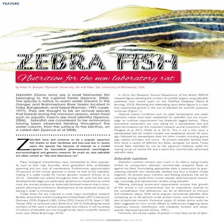 Zebra Fish - Nutrition for the new laboratory rat