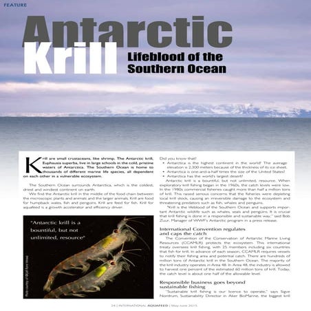 Antarctic Krill - Lifeblood of the Southern Ocean