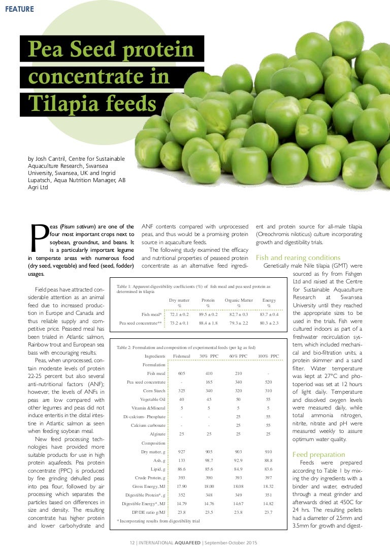 Pea Seed protein concentrate in Tilapia feeds
